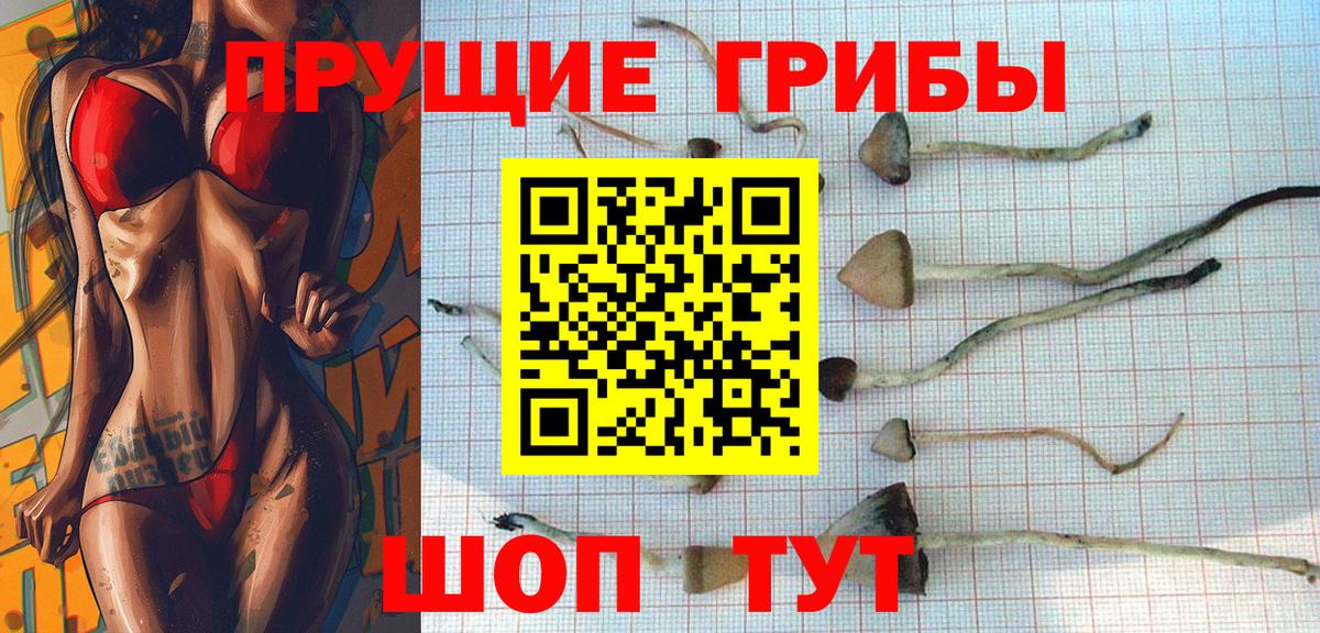 цены   Псилоцибиновые грибы Cubensis  Вход с VPN  Камышлов 